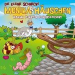 68: Warum Blinzeln Blindschleichen?