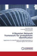 A Bayesian Network framework for probabilistic identification