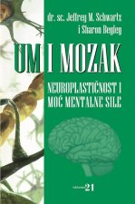 Um i mozak