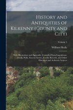 History and Antiquities of Kilkenny (County and City): With Illustrations and Appendix, Compiled From Inquisitions, Deeds, Wills, Funeral Entries, Fam
