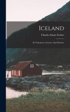 Iceland: Its Volcanoes, Geysers, And Glaciers