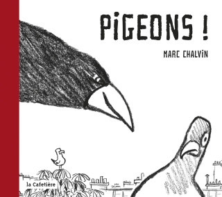 Pigeons !