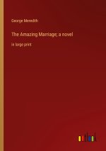 The Amazing Marriage; a novel