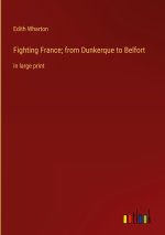 Fighting France; from Dunkerque to Belfort
