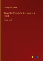 Danger; Or, Wounded in the House of a Friend