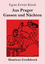 Aus Prager Gassen und Nächten (Großdruck)