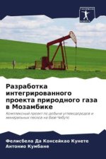 Razrabotka integrirowannogo proekta prirodnogo gaza w Mozambike