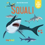 Squali. Sorprendenti pop up