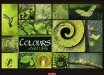 Colours of Nature Kalender 2024