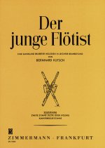 Le jeune flûtiste