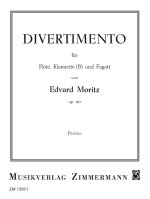 Divertimento