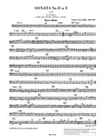 Sonata No. 2 E minor a 2