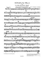 Sonata no. 7 en ré mineur