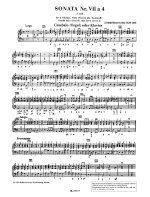 Sonata no. 7 en ré mineur
