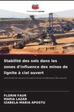 Stabilité des sols dans les zones d'influence des mines de lignite ? ciel ouvert