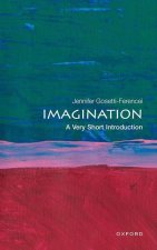 Imagination: A Very Short Introduction (Paperback)