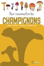 Pour reconnaitre les champignons