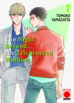THE NIGHT BEYOND THE TRICORNERED WINDOW N 7