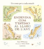 ENDEVINA COM TESTIMO AL LARGO DE LANY