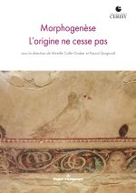Morphogenèse