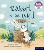 Essential Letters and Sounds: Essential Phonic Readers: Rabbit in the Well  (Paperback)