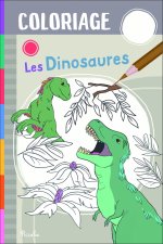 Les dinosaures