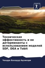 Tehnicheskaq äffektiwnost' i ee determinanty s ispol'zowaniem modelej SDF, DEA i Tobit