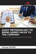 AUDIT METHODOLOGY TO BRING ADDED VALUE TO THE COMPANY
