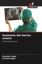 Anatomia del bacino umano