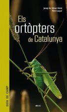 Els ort?pters de Catalunya