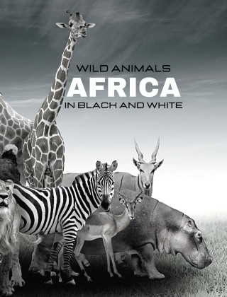 WILD ANIMALS - Arica in Black and White