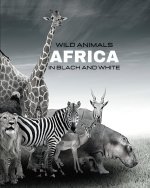 WILD ANIMALS - Africa in Black and White