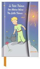 Der Kleine Prinz 2024 - Diary - Buchkalender - Taschenkalender - 10x15
