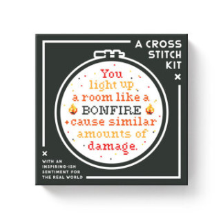 You Light Up A Room Cross Stitch Kit (Brass Monkey,Galison)(Hračka)