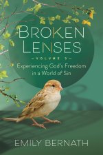 Broken Lenses, Volume 3: Experiencing God's Freedom in a World of Sin