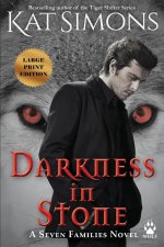 Darkness in Stone: Large Print Edition