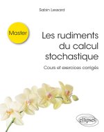Les rudiments du calcul stochastique