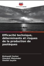 Efficacité technique, déterminants et risques de la production de past?ques