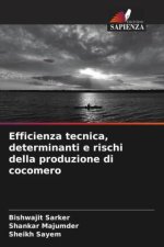 Efficienza tecnica, determinanti e rischi della produzione di cocomero