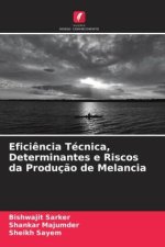 Efici?ncia Técnica, Determinantes e Riscos da Produç?o de Melancia
