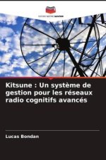 Kitsune : Un syst?me de gestion pour les réseaux radio cognitifs avancés