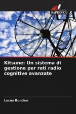 Kitsune: Un sistema di gestione per reti radio cognitive avanzate