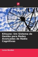 Kitsune: Um Sistema de Gest?o para Redes Avançadas de Rádio Cognitivas