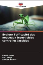 Évaluer l'efficacité des nouveaux insecticides contre les jassides