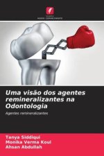 Uma vis?o dos agentes remineralizantes na Odontologia