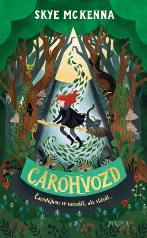 ďż˝arohvozd