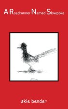 A Roadrunner Named Slowpoke: There is no beginning there is no end there is only continuum