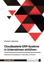 Cloudbasierte ERP-Systeme in Unternehmen einführen. Relevante Einflussfaktoren, Potenziale und Risiken