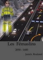 Les Fémaslins