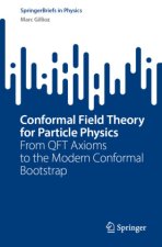 Conformal Field Theory for Particle Physics